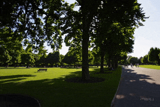  Hidden Investment Fees